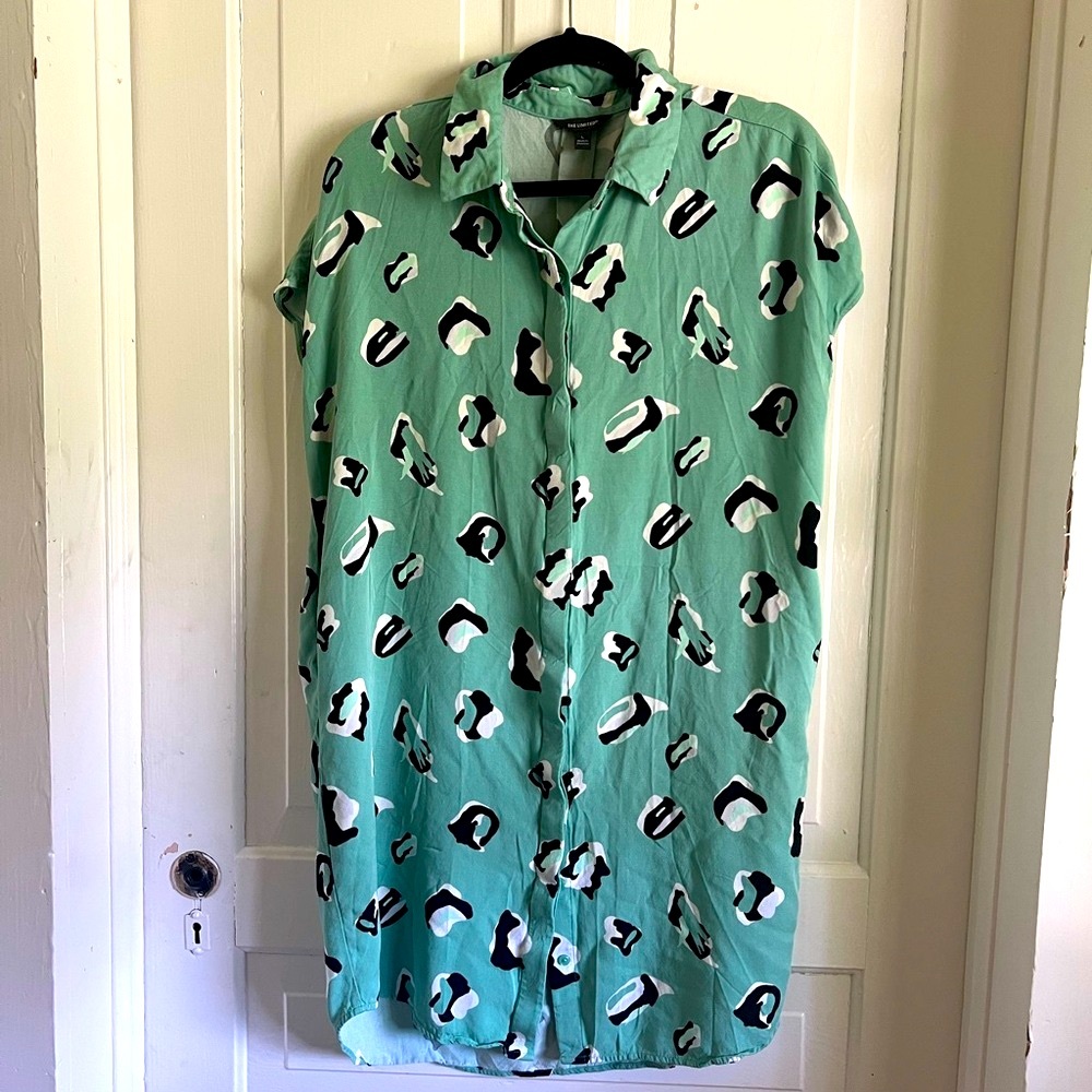 The Limited green print shirt dress large